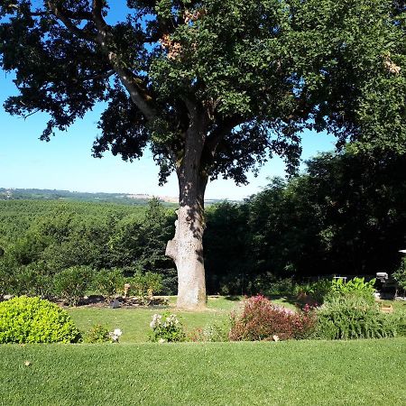 La Chenaie Bed & Breakfast Sainte-Marthe  Bagian luar foto